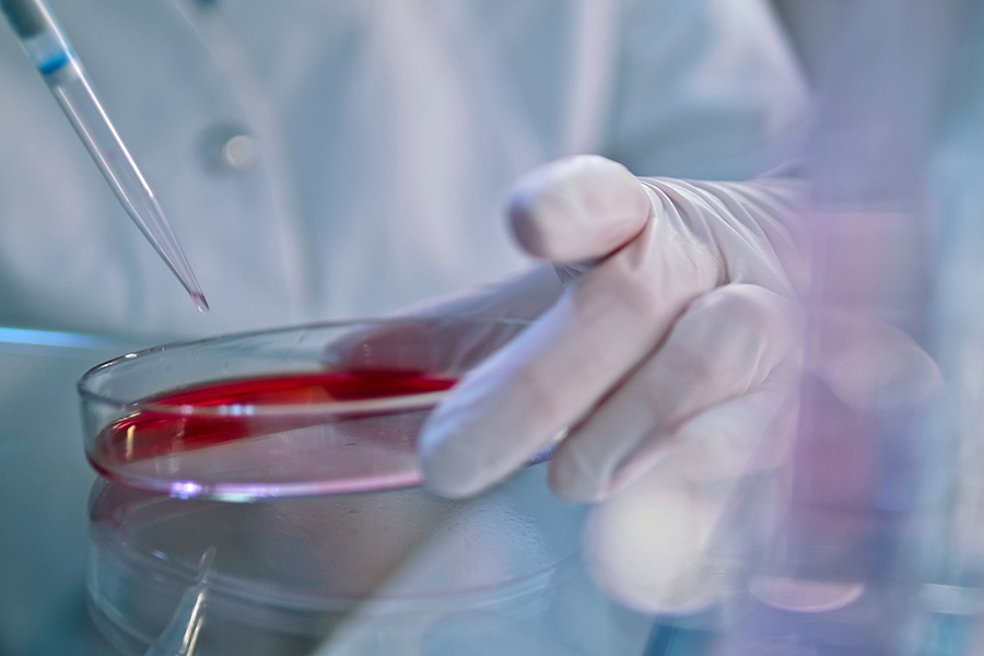 person holding a petri dish with red liquid, using a pipette