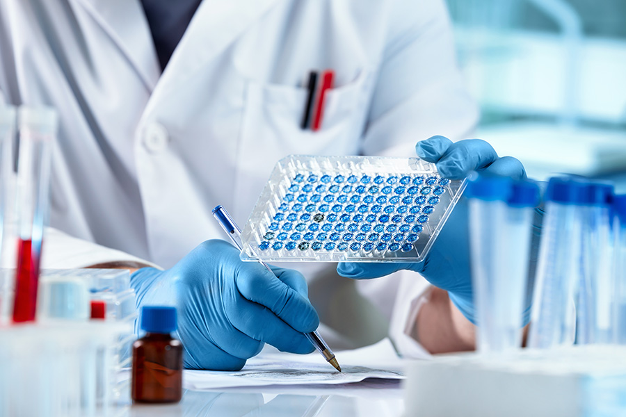 person reviewing lab testing sample panels