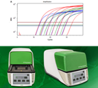 picture of biorad qpcr instrument