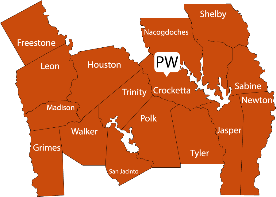Map graphic of piney woods region.