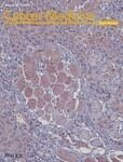 Dr. Lisa Campo-Engelstein coauthors paper