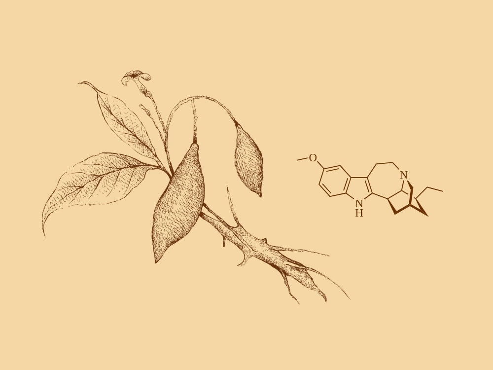 Line art of an iboga plant and the chemical structure of ibogaine