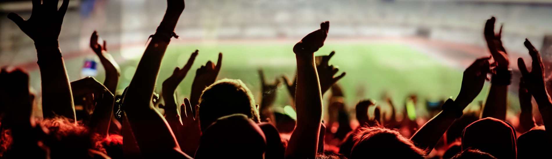 World Cup Audience