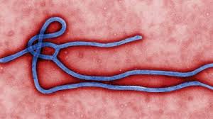 Encyclopaedia Britannica, Bundibugyo virus Encyclopaedia Britannica, Bundibugyo virus