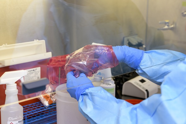 Lab Personnel handling pathogen