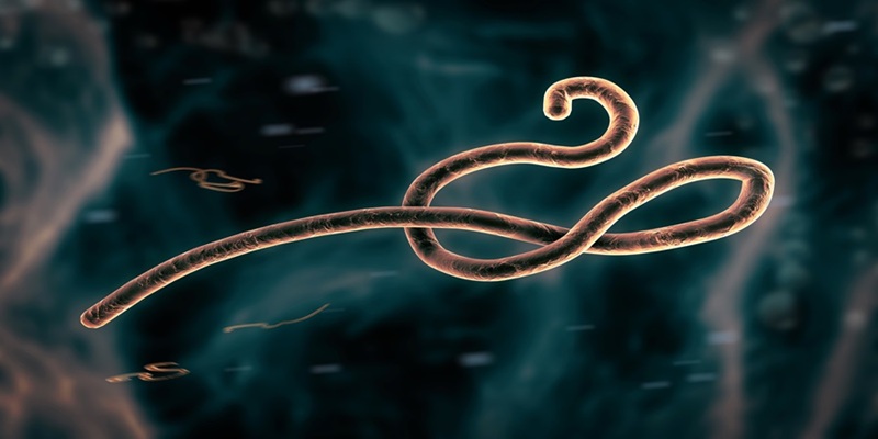 Ebola Virus seen through microscope