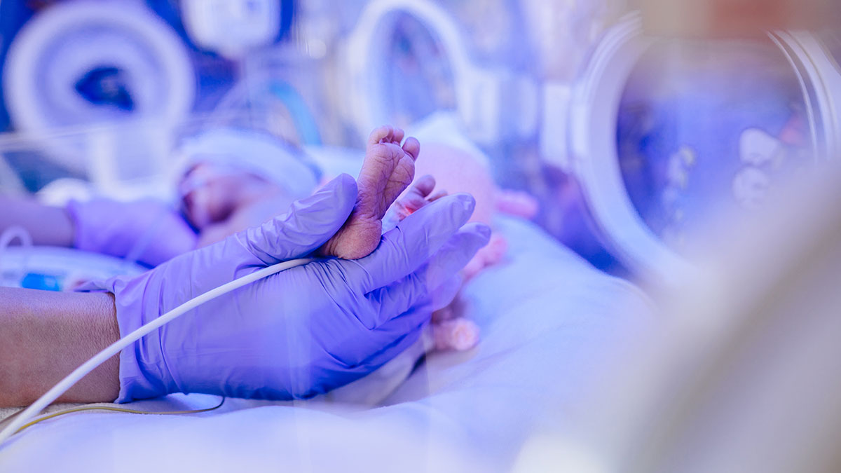 A gloved hand holds a premature infant's tiny feet inside an incubator