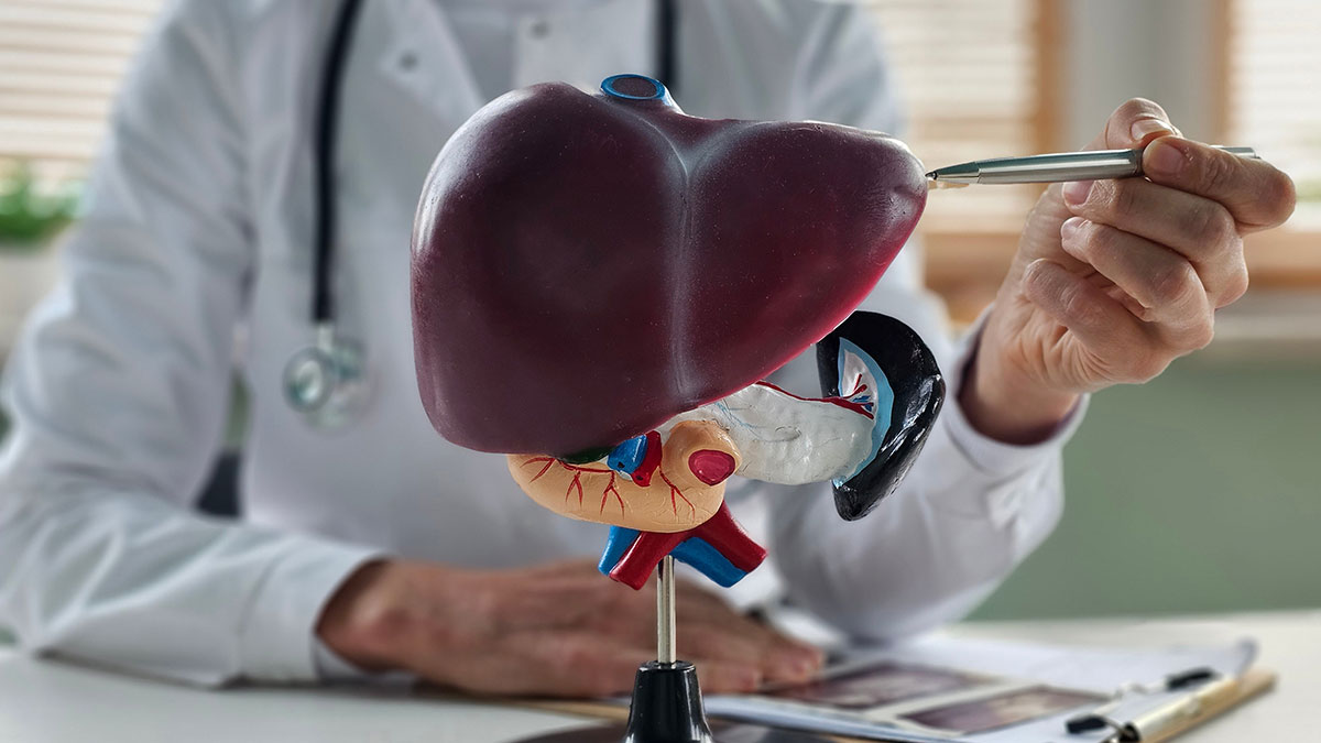 A doctor in a white coat points to a 3D model of a liver