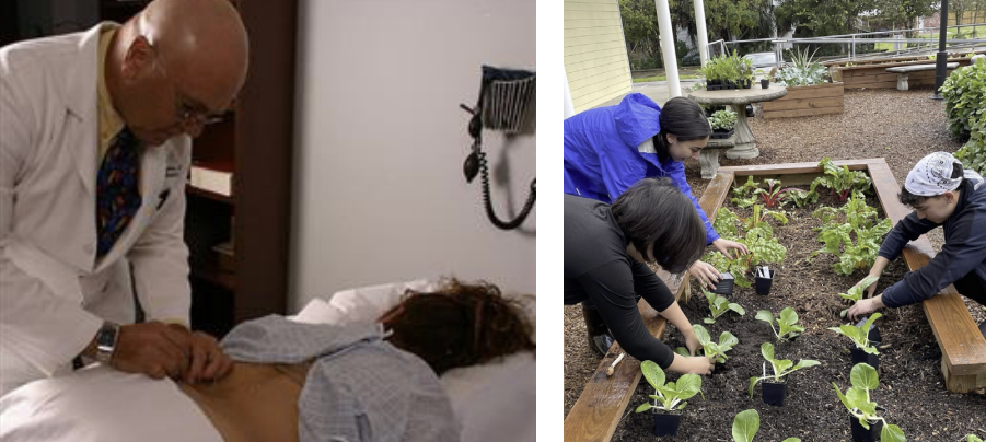 Left: Dr. Victor Sierpina performs acupuncture on a patient. Right: The Island Farmacy is a community garden created to improve the health of the Galveston community.