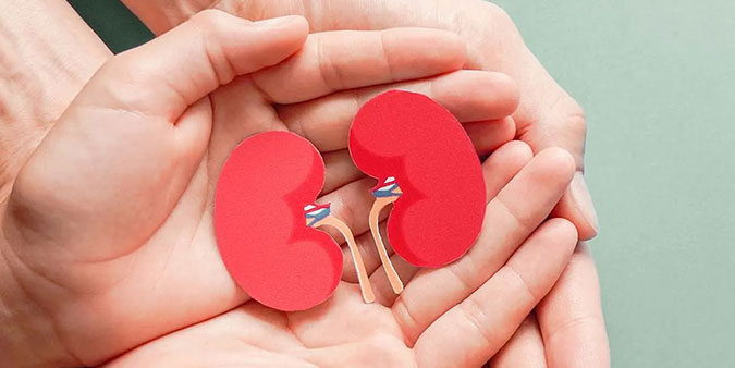 A pair of hands is placed on top of another pair of hands, holding a paper cutout of kidneys.