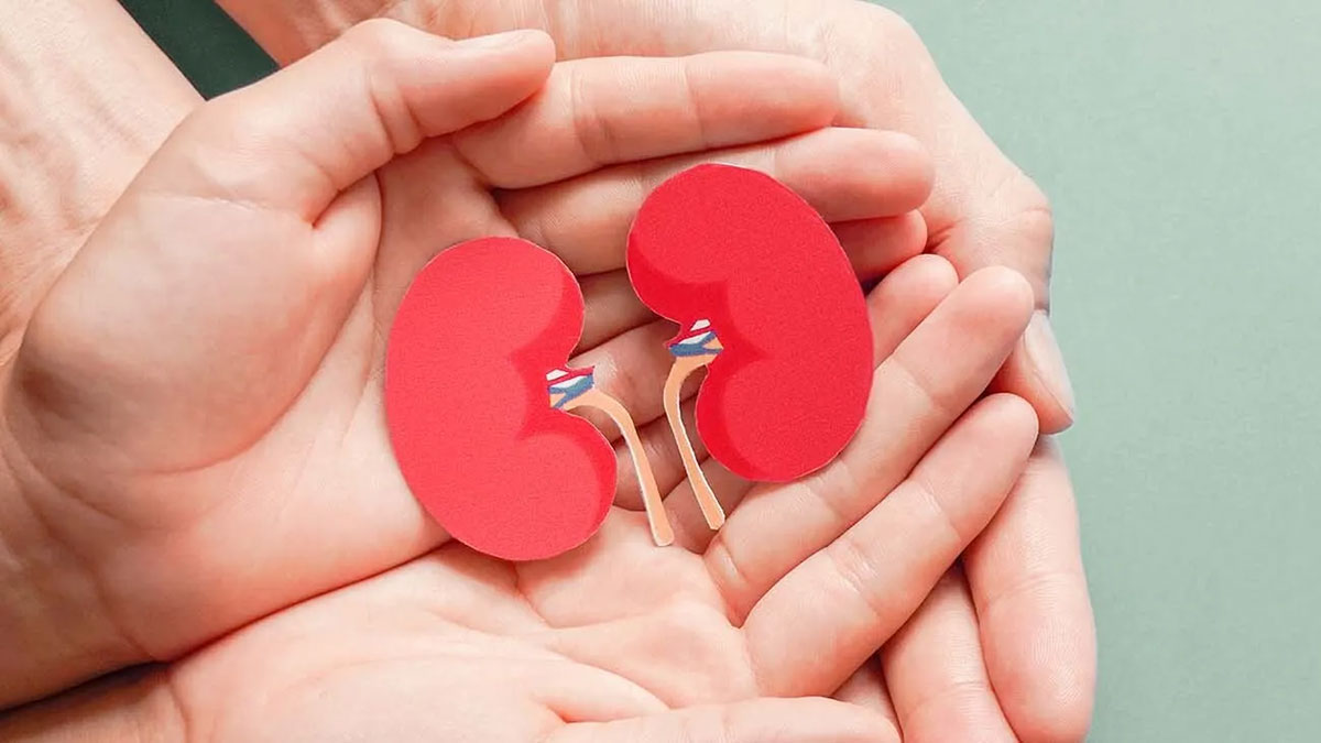 Two pairs of hands are lying flat on top of each other, with a paper cutout shaped like kidneys on top
