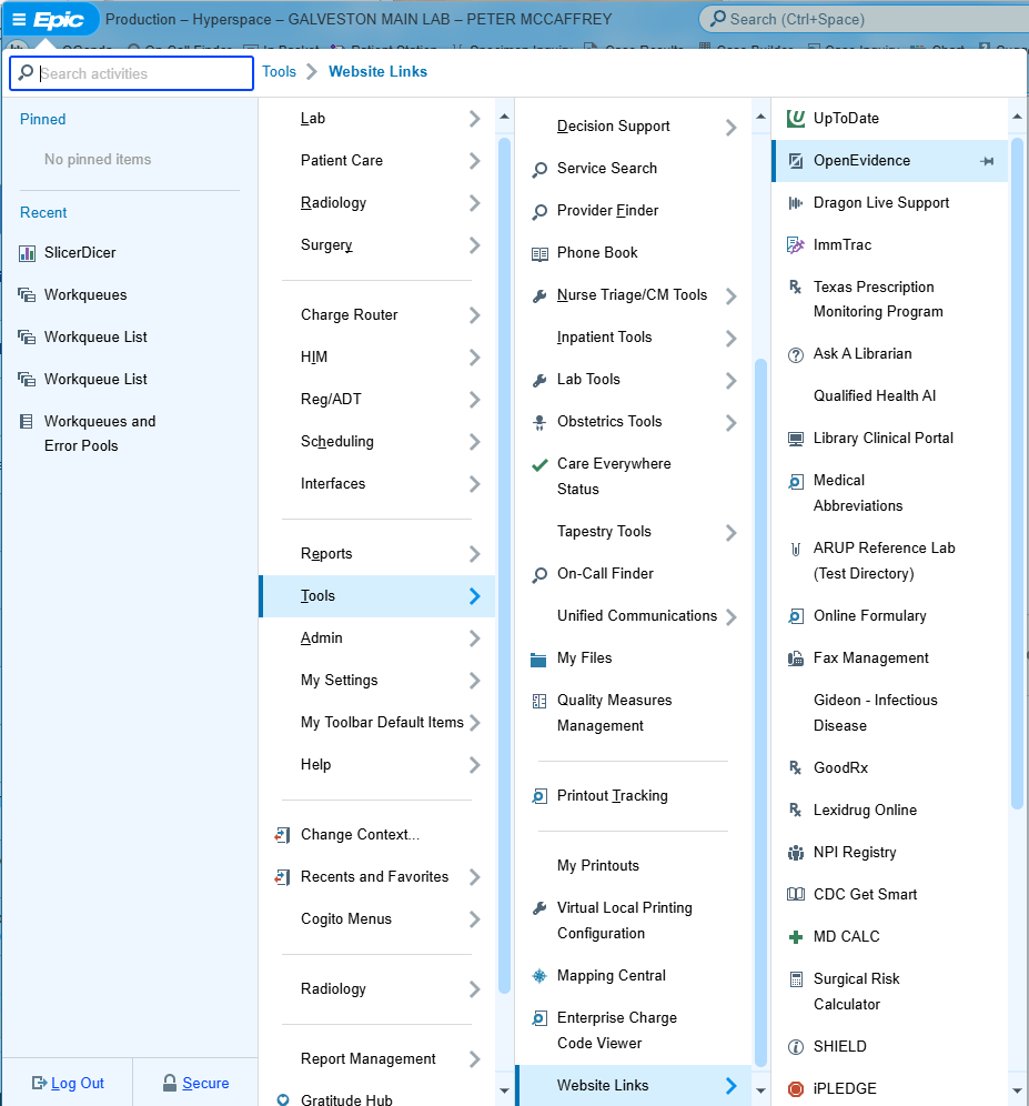 Epic main menu showing navigation to Open Evidence