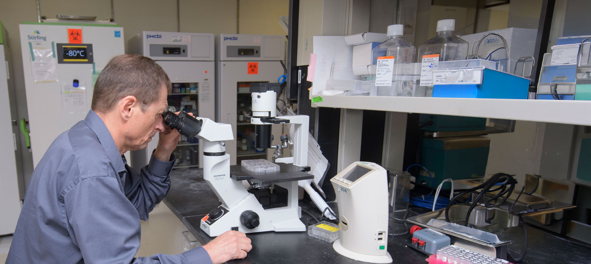 A man wearing a dark blue shirt is shown looking through a microscope at a lab bench, with sample trays, laboratory equipment, and ultra-low-temperature freezers visible in the background.
