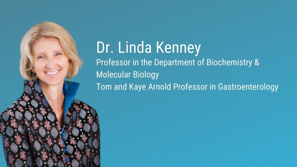 Dr. Linda Kenney professor in the Department of Biochemestry & Molecular Biology