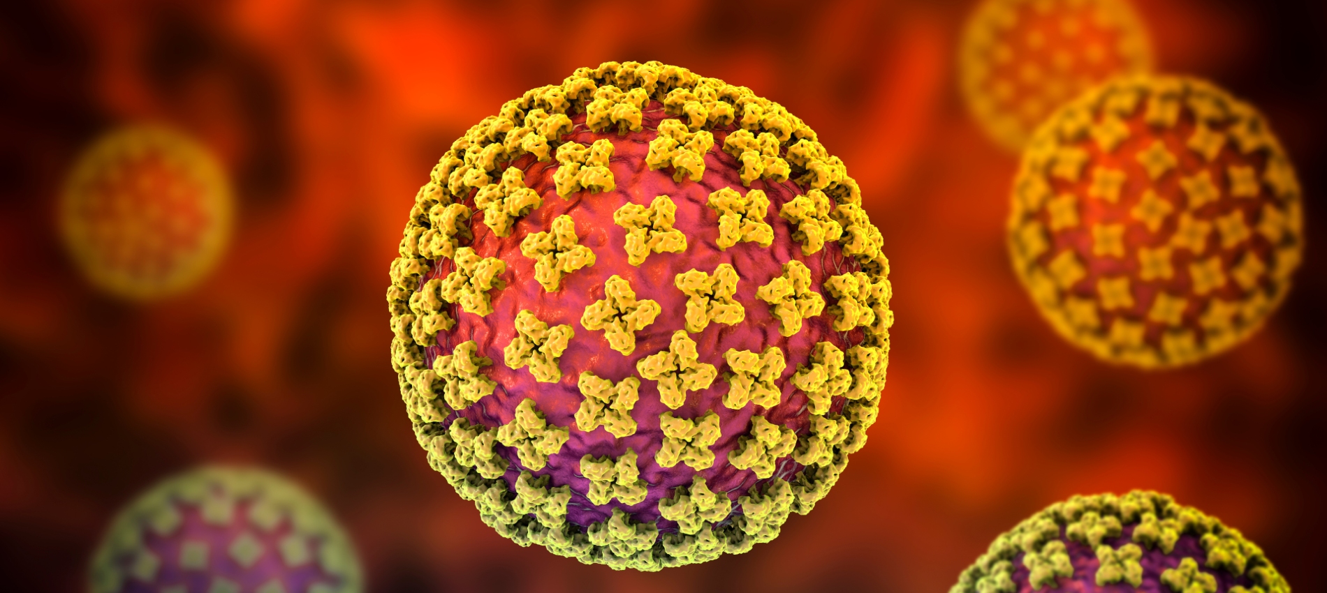 3D illustration of a spherical virus particle with yellow spike‑like protrusions on a red and purple surface, set against an orange background.