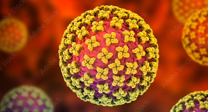3D illustration of a spherical virus particle with yellow spike‑like protrusions on a red and purple surface, set against an orange background.