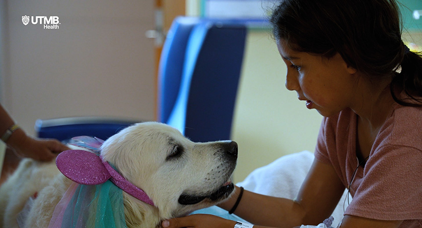 Person seated indoors gently interacting with a white dog wearing a pink glitter headband and colorful tulle accessory. The dog and person face each other in a clinical or waiting-room setting.