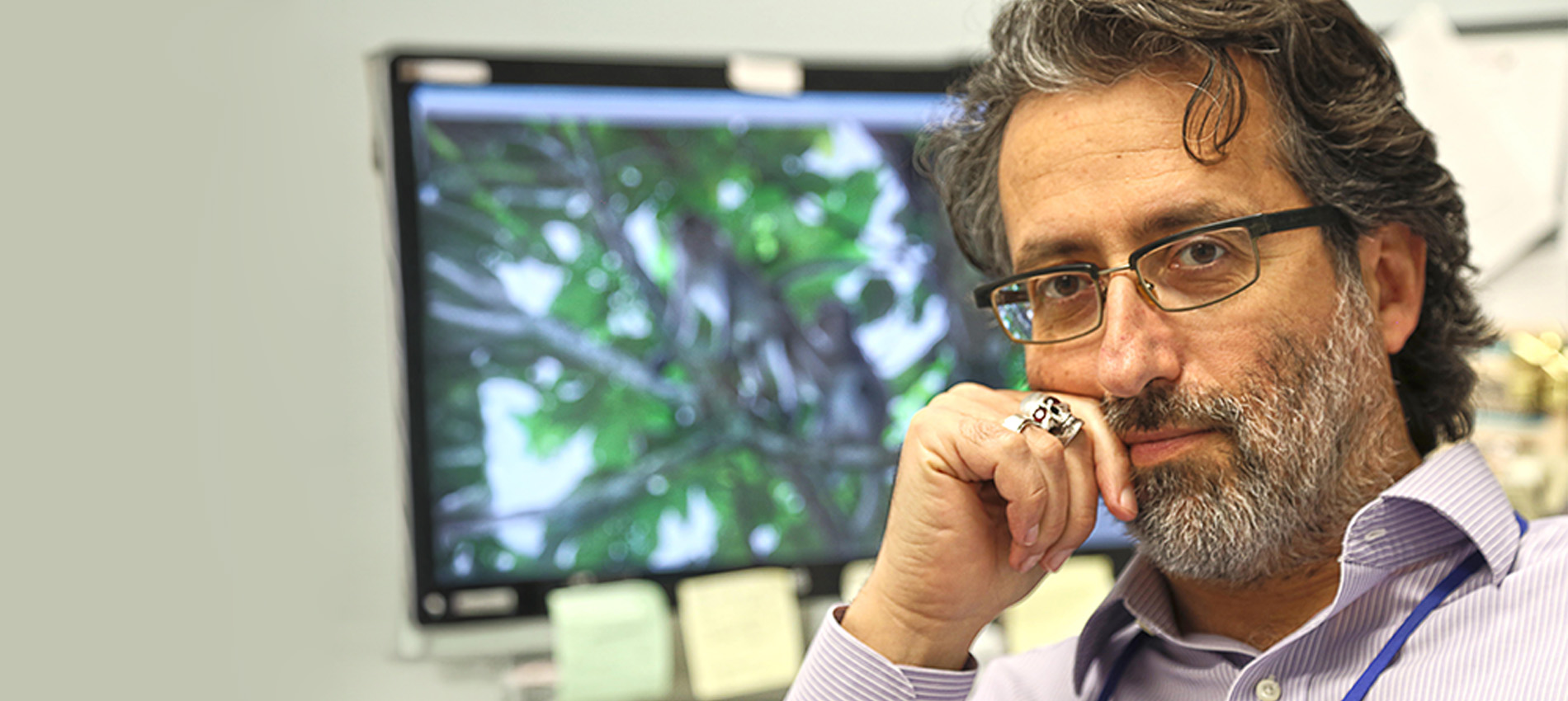 Close-up portrait of a man with salt-and-pepper hair and a short beard, wearing rectangular glasses and a light purple striped button-down shirt. He rests his chin on his hand, showing a large ring, and looks thoughtfully toward the camera.