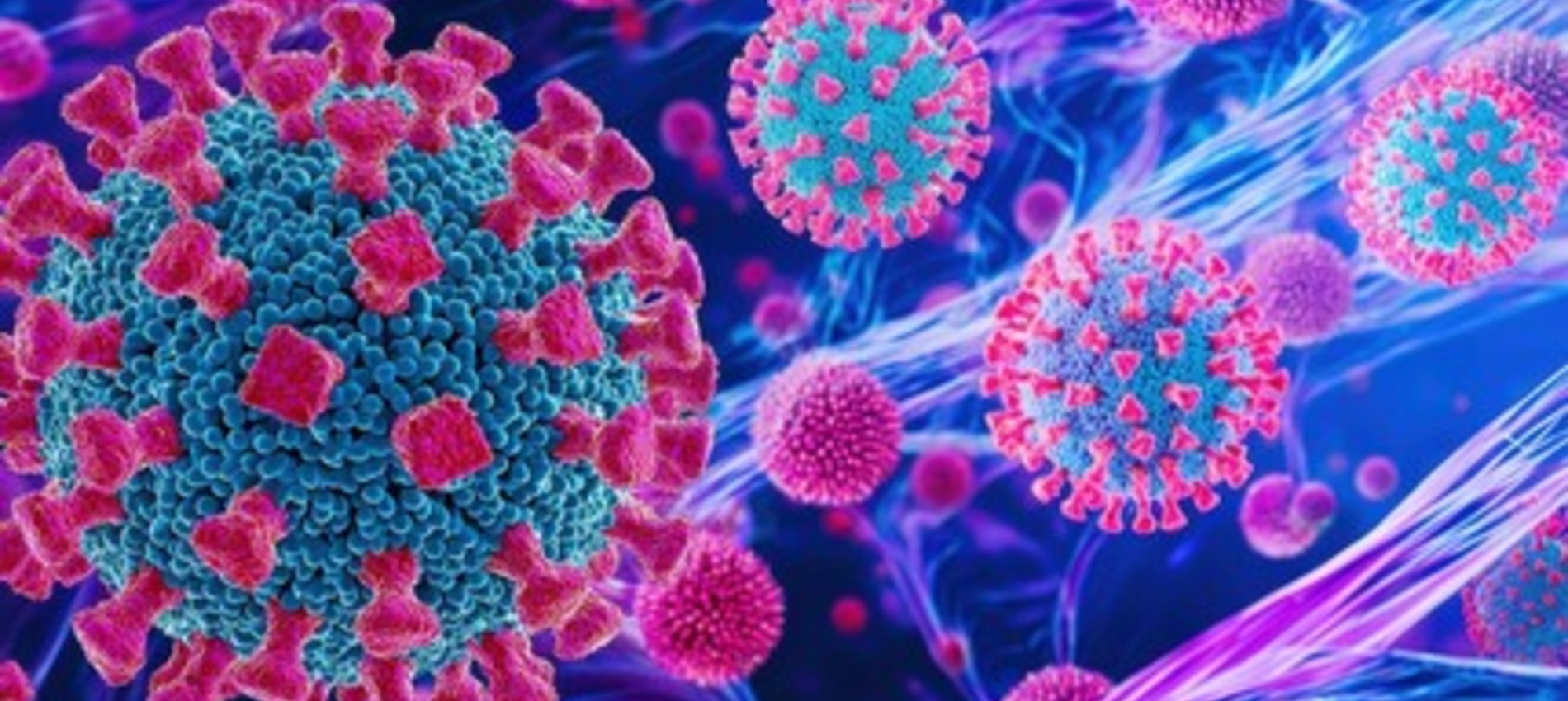 Stylized microscopic illustration of SARS‑CoV‑2 particles with pink spike proteins on blue spherical virus bodies moving through a tissue‑like environment, representing viral mechanisms that interfere with early immune responses.