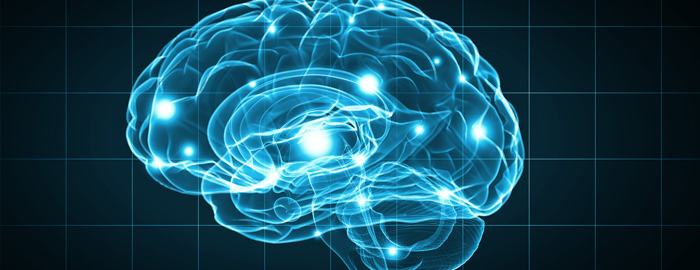 illustration of neuros in brain