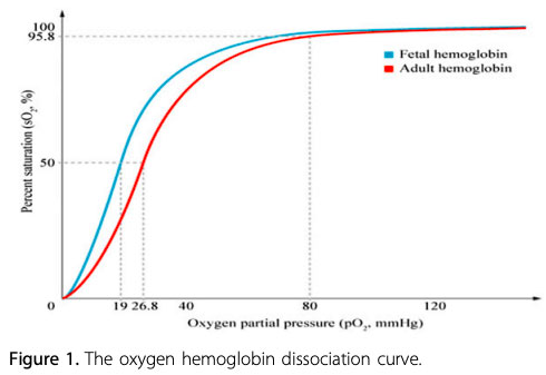 The oxygen hemoglobin dissociation curve
