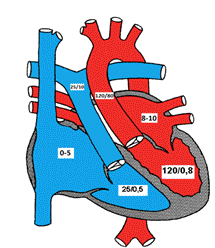 normal pressures in the various chambers of the heart
