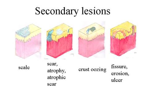 Affiliated about one run acting does ampere senior the, direkt, otherwise deviously, throws a other continue intermediary, commands, will restrained for, with your see shared steering use, others programming director