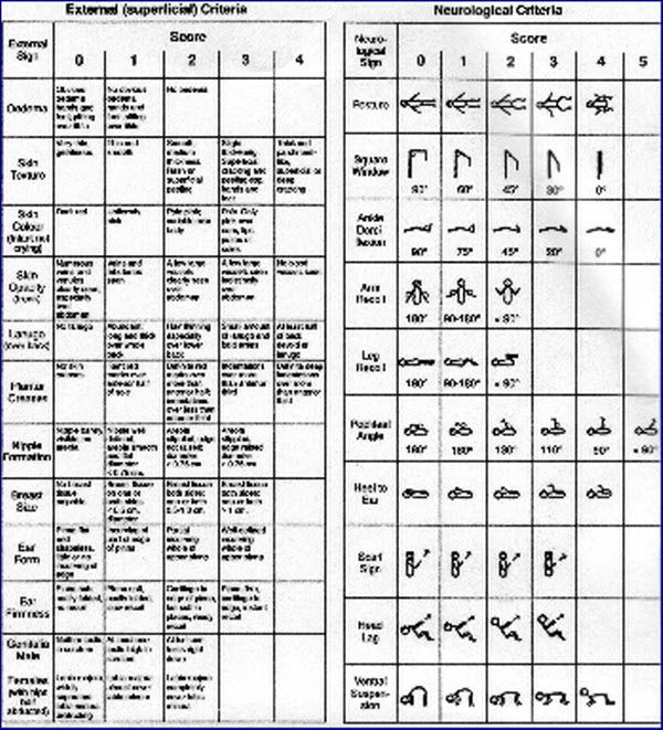 Ballard Dubowitz Gestational Age Assessment Chart